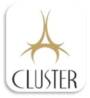 Cluster Jewellers (Gujarat)